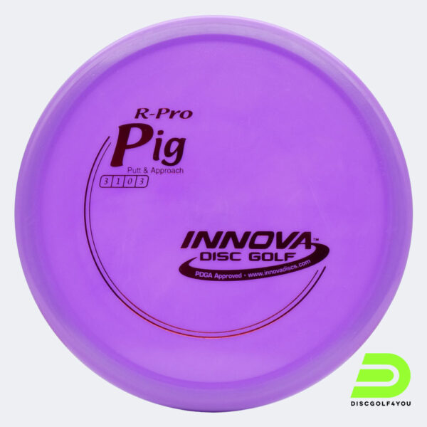 Innova Pig in purple, r-pro plastic